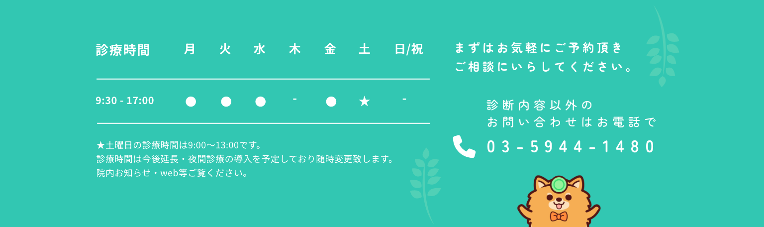 営業時間 お問い合わせはお電話で準備中です